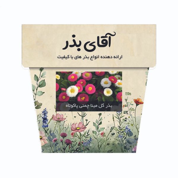 بذر گل مینا چمنی پاکوتاه آقای بذر مدل الوان