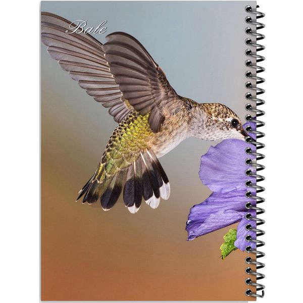 دفتر طراحی 100 برگ انتشارات بله طرح حیوانات و پرندگان مدل کاغذ ضخیم کد TS771
