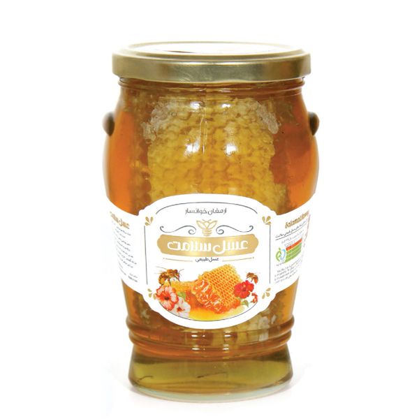 عسل خوانسار خمره‌ای باموم سلامت  - 800 گرم