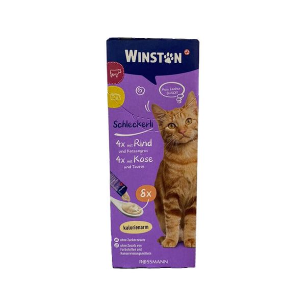 تشویقی گربه وینستون مدل بستنی طعم گوشت و پنیر وزن 120 گرم