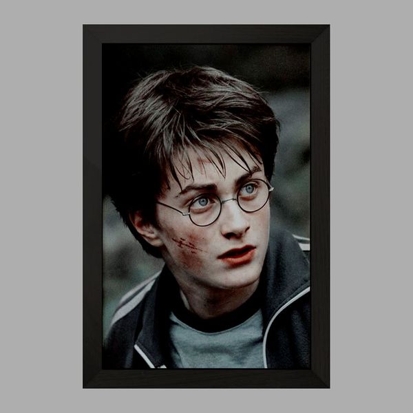 تابلو خندالو مدل هری پاتر Harry Potter  کد 2687
