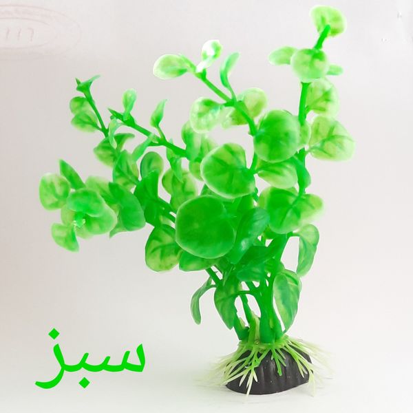 گیاه تزیینی آکواریوم مدل Ma0012