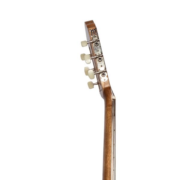 گیتار کلاسیک بنبرگ مدل BG 492