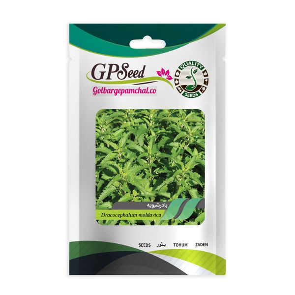 بذر بادرشبویه گلبرگ پامچال کد GPF-140