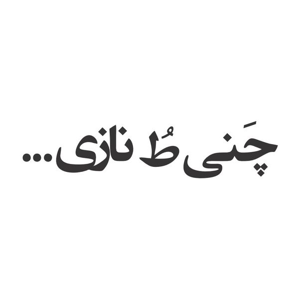 برچسب بدنه خودرو طرح چنی ط نازی کد B