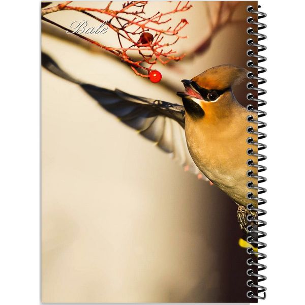 دفتر طراحی 100 برگ انتشارات بله طرح پرندگان جنگلی مدل کاغذ ضخیم کد TS788