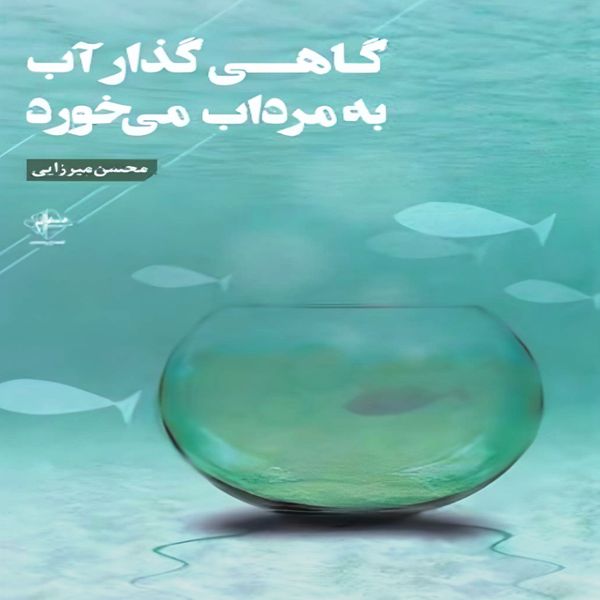 کتاب گاهی گذار آب به مرداب می خورد اثر محسن میرزایی انتشارات  فصل پنجم
