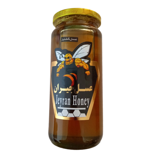 عسل گشنیز جیران - 700 گرم