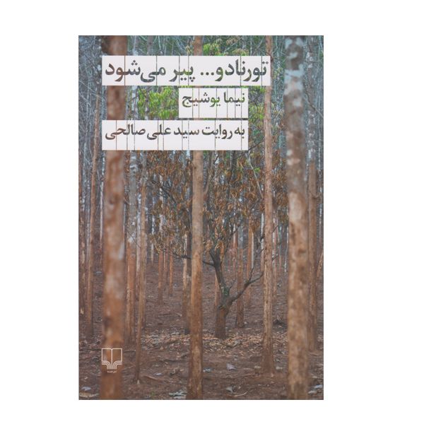 کتاب تورنادو پیر می شود اثر سید علی صالحی نشر چشمه
