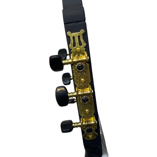 گیتار کلاسیک پارسی مدل M4