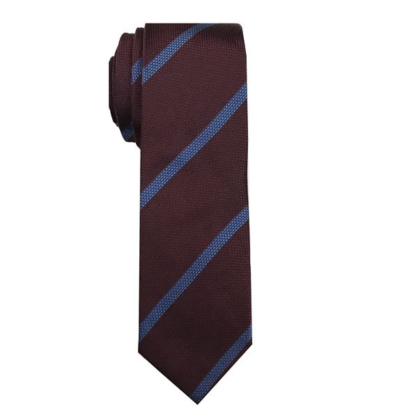 کراوات مردانه درسمن مدل SEASON