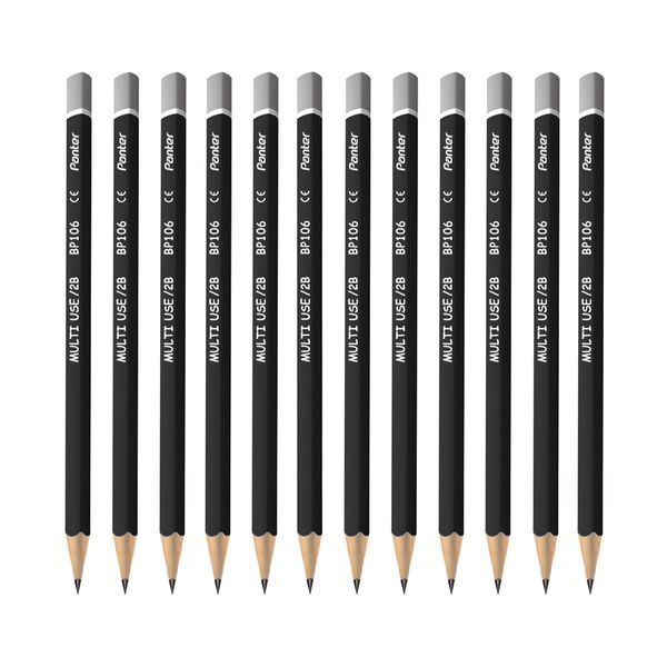  مداد مشکی پنتر مدل Multi Use BP104 بسته 12 عددی