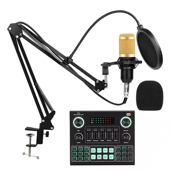 میکروفون استودیویی مدل BM800-V9 به همراه کارت صدا