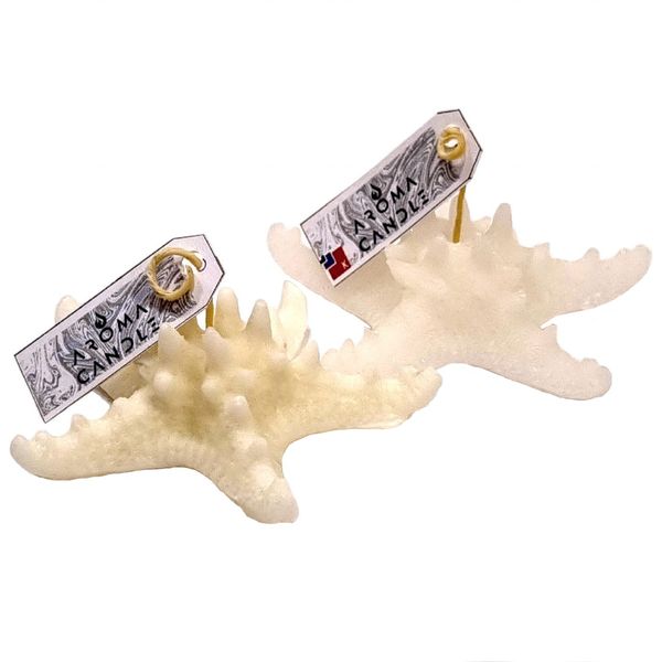 شمع دست ساز آروما کندل مدل ستاره دریایی مجموعه دو عددی