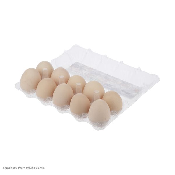تخم مرغ محلی ترخون بانو بسته 10 عددی