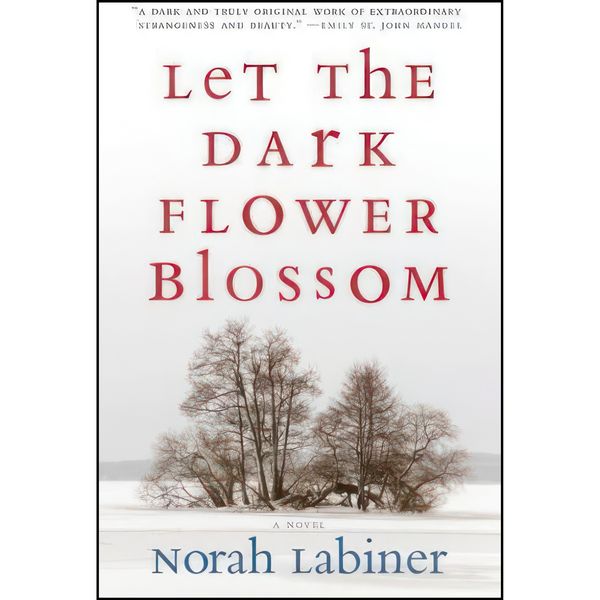 کتاب Let the Dark Flower Blossom اثر Norah Labiner انتشارات Coffee House Press