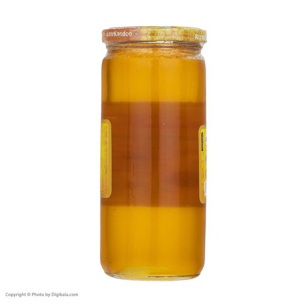 عسل طبیعی آذرکندو - 630 گرم