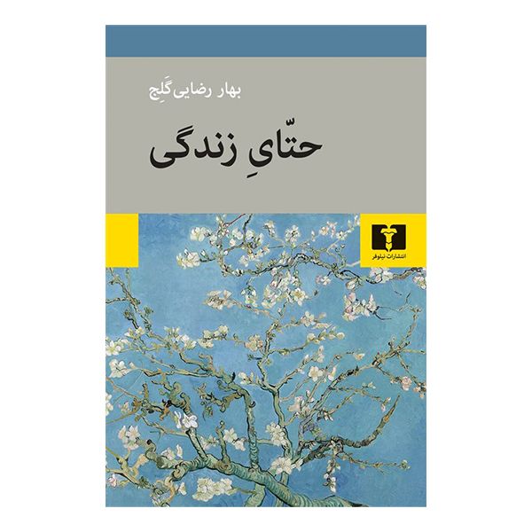 کتاب حتای زندگی اثر بهار رضایی گلج انتشارات نیلوفر