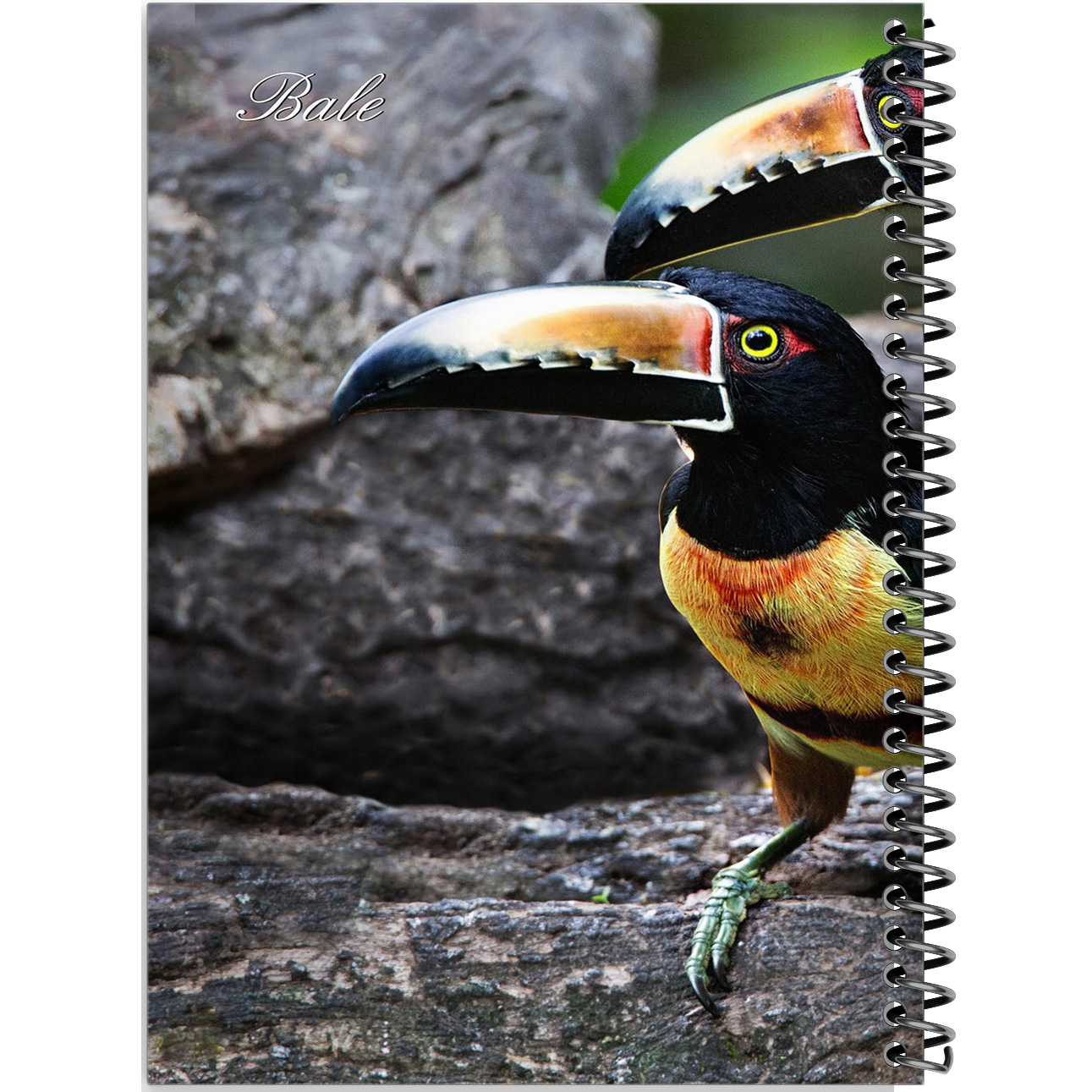 دفتر طراحی 100 برگ انتشارات بله طرح حیوانات و پرندگان مدل کاغذ ضخیم کد TS764