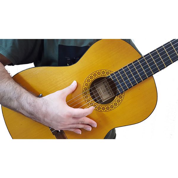 گیتار مدل C70
