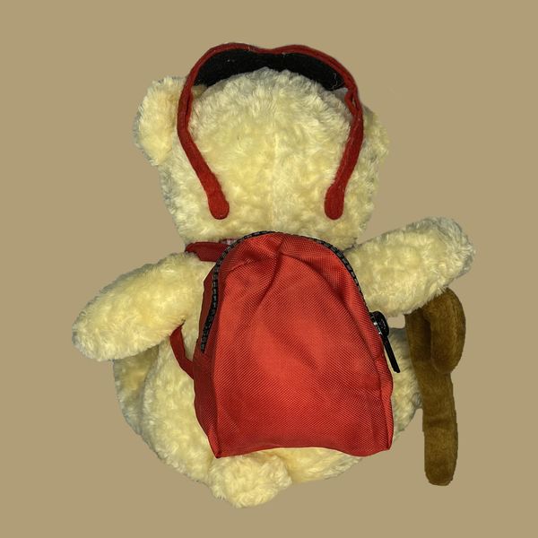 عروسک طرح خرس تدی مدل Backpack Teddy Bear کد SZ10/1008 ارتفاع 23 سانتی‌متر
