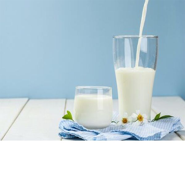 شیر باریستا کاله - 1.5 لیتر 