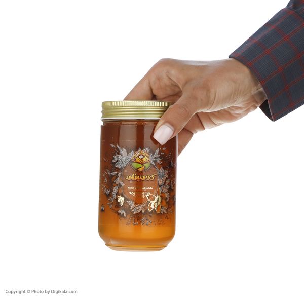 عسل ارگانیک چند گیاه بهاره گلد کوهپناه - 500 گرم