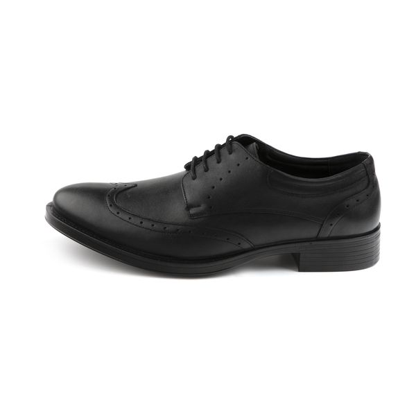 کفش مردانه دنیلی مدل Abtin-201070761001