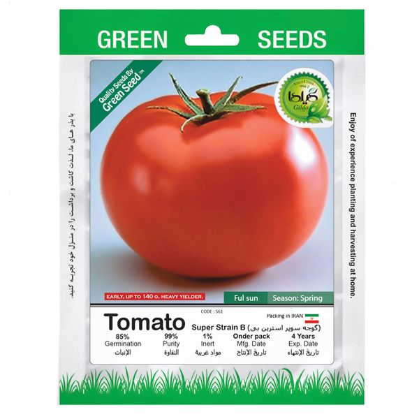 بذر گوجه سوپر استرین بی گیلدا کد 561