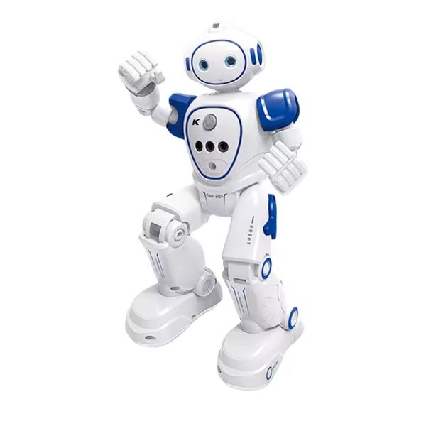 ربات کنترلی مدل R21
