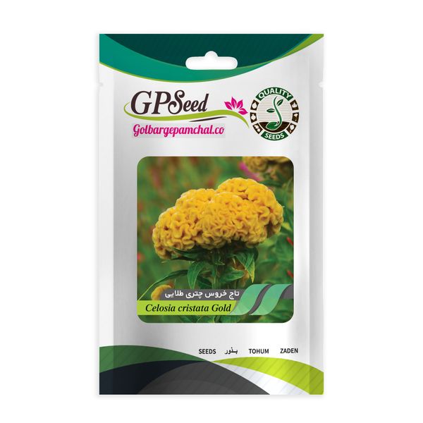 بذر گل تاج خروس چتری طلایی گلبرگ پامچال کد GPF-240