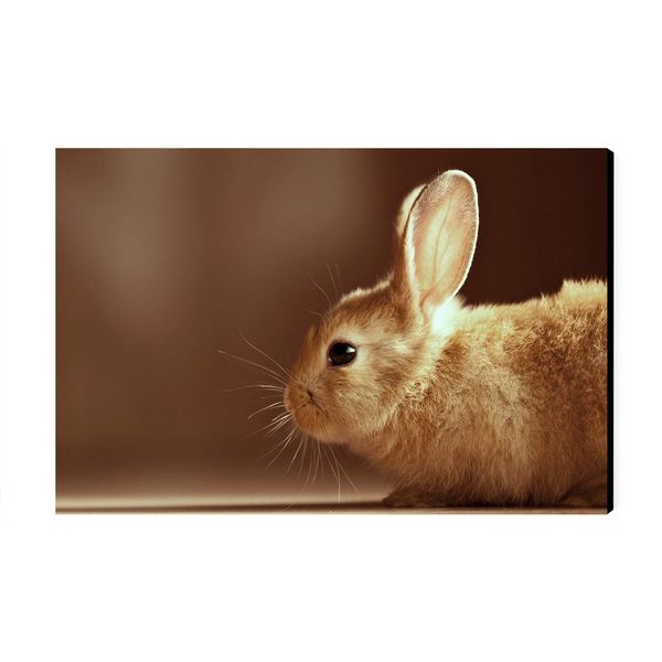 تابلو شاسی عرش مدل فانتزی خرگوش کد As3094