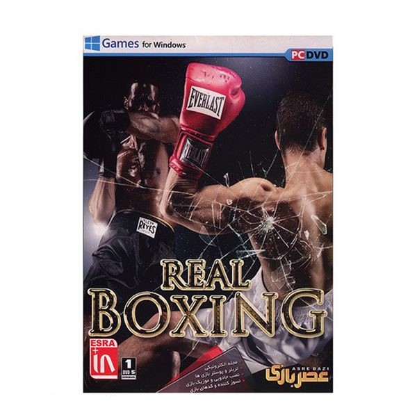 بازی کامپیوتری Real Boxing