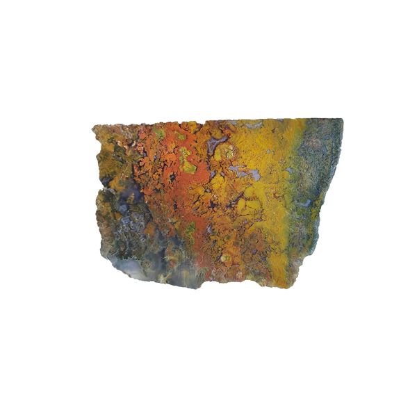 سنگ راف شجر مدل منظره طبیعت کد m55
