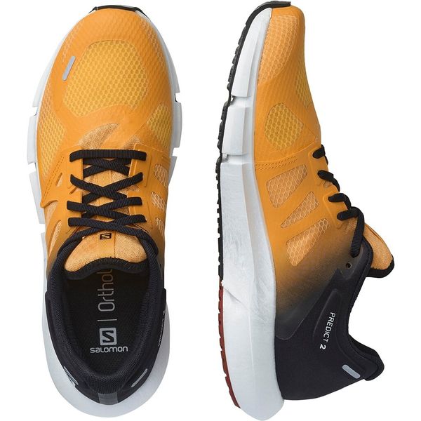 کفش مخصوص دویدن مردانه سالومون مدل Predict 2 416225