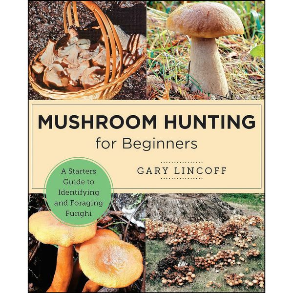 کتاب Mushroom Hunting for Beginners اثر Gary Lincoff انتشارات New Shoe Press