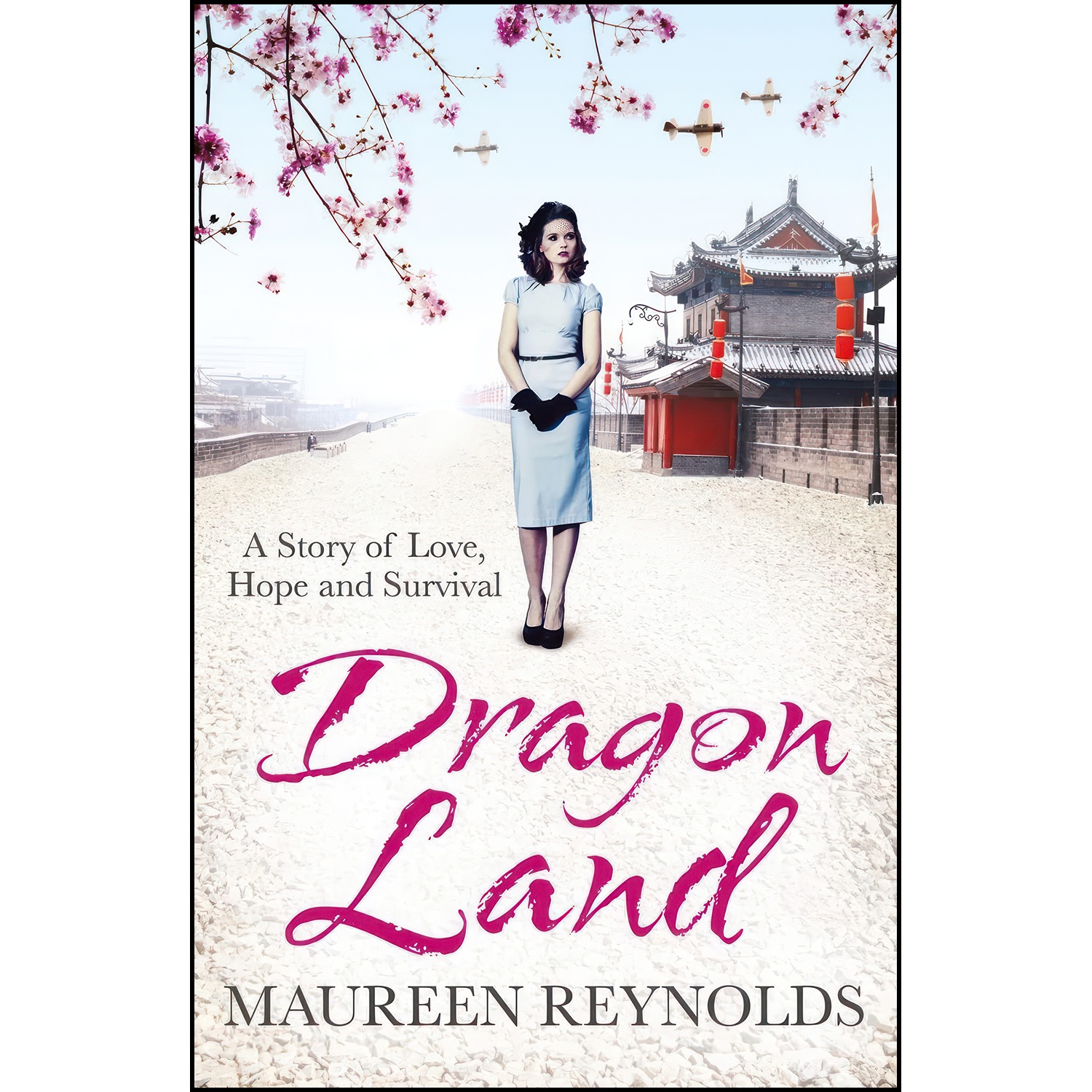 کتاب Dragon Land اثر Maureen Reynolds انتشارات Black White Publishing