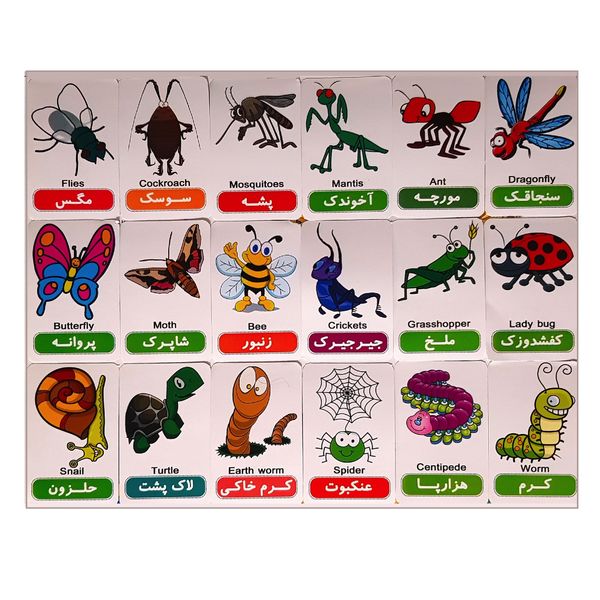 بازی آموزشی مدل حشرات و نرمتنان کد BA8 مجموعه 18 عددی