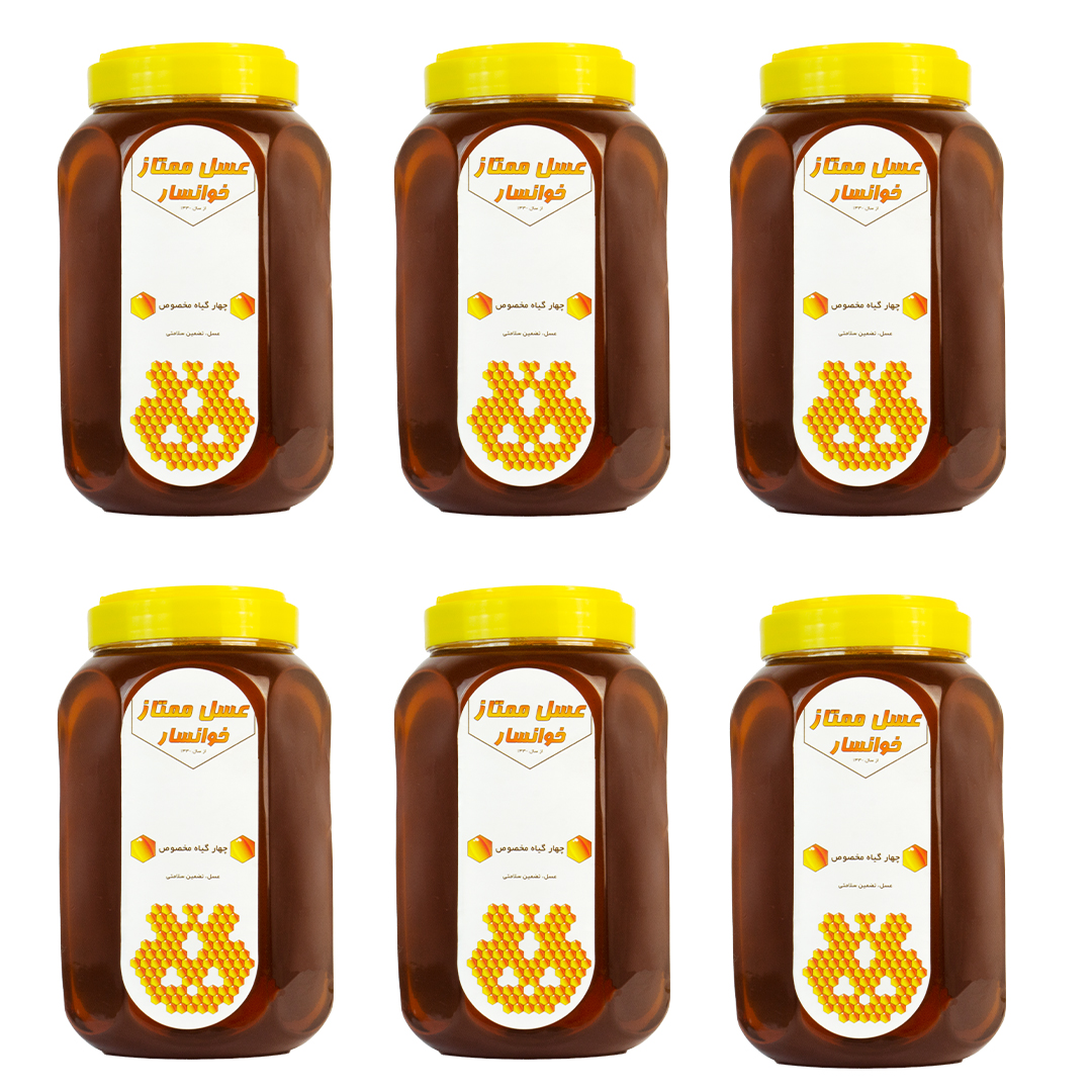 عسل چهارگیاه نمونه خوانسار - 2000 گرم - بسته 6 عددی