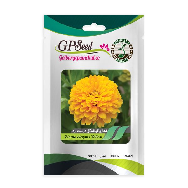 بذر گل آهار پا کوتاه گل درشت زرد جی پی سید مدل GP13399