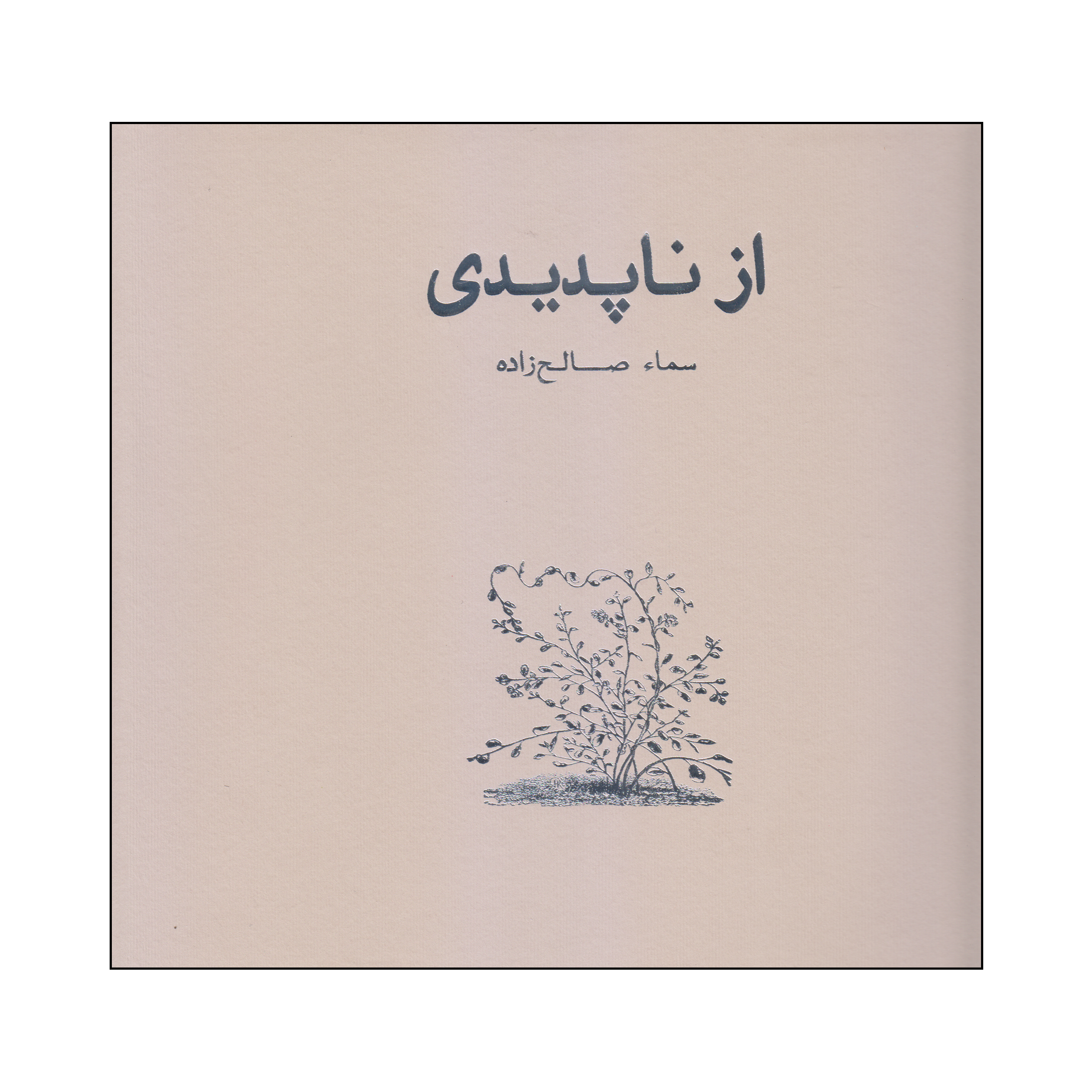 کتاب از ناپدیدی اثر سماء صالح زاده انتشارات حرفه نویسنده