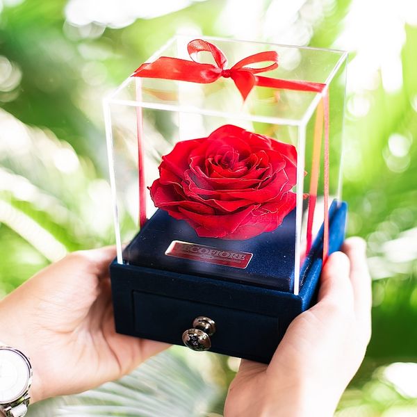 جعبه جواهرات و کارت هدیه رز جاودان مدل گل ماندگار دکوفیوره 