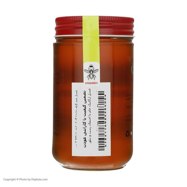 عسل چند گیاه بهاره ارگانیک کوهپناه - 500 گرم 