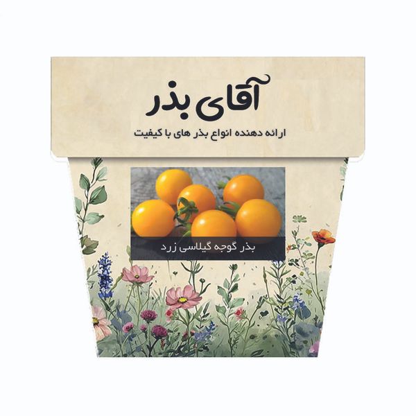 بذر گوجه گیلاسی زرد آقای بذر کد 13