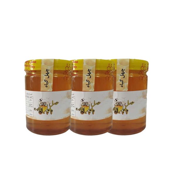 عسل چندگیاه پاچیل طلایی بسته 3 عددی