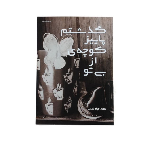 کتاب بی تو از کوچه ی پاییز گذشتم اثر محمدجواد نعیمی نشر خیابان