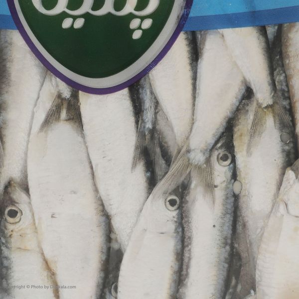 ماهی منجمد کیلکا پمینا - 500 گرم 