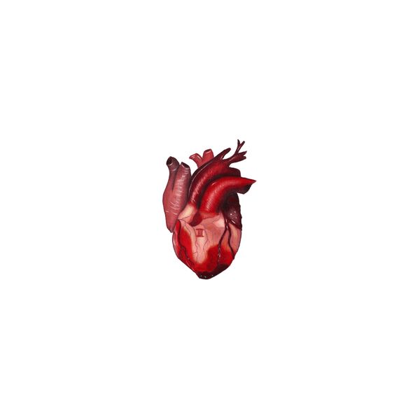 استیکر لپ تاپ لولو طرح قلب HEART کد 784