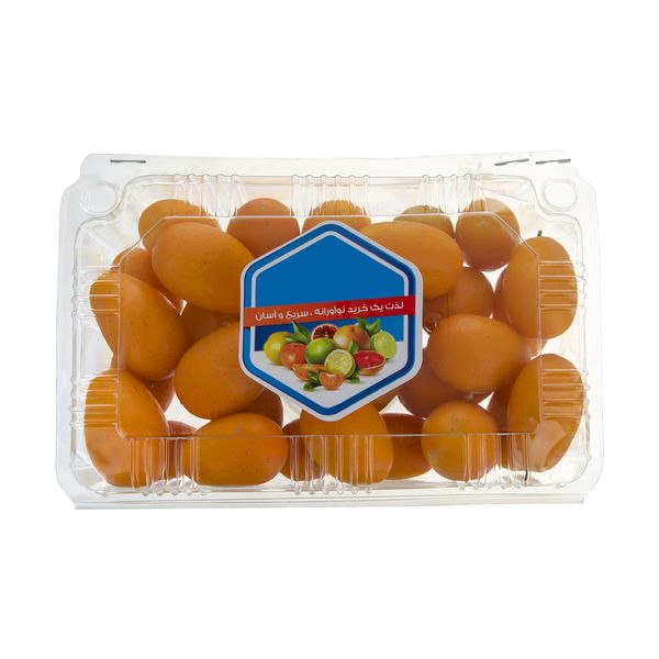 کامکوات میوه پلاس - 500 گرم