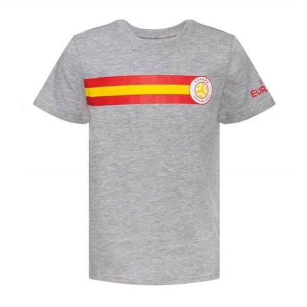 تی شرت آستین کوتاه ورزشی پسرانه مدل یورو 2020 کد 9637704